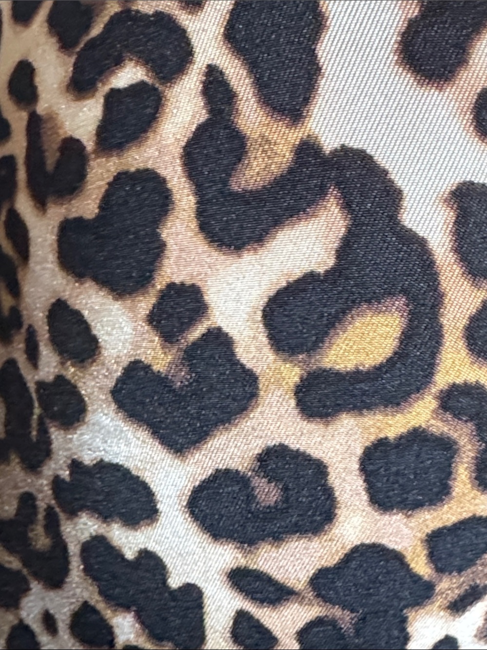 Paramour Leopard Push-Up Bra - Black & Brown 38 DDD - Picture 5 of 5